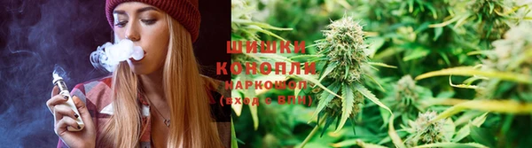 твердый Аркадак