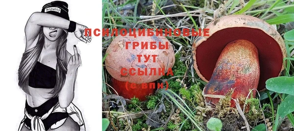 эйфоретик Балахна