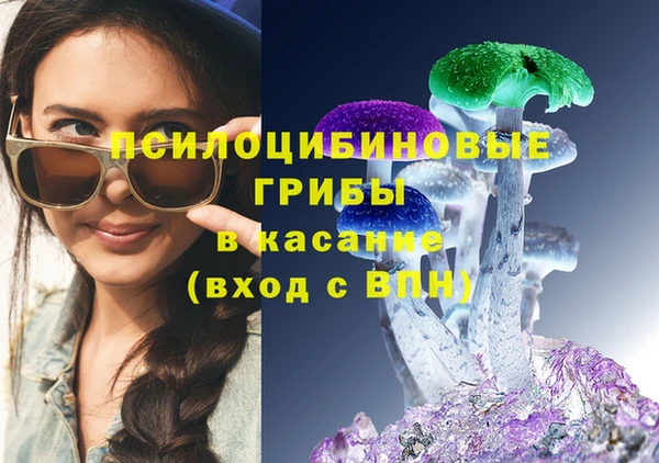 твердый Аркадак